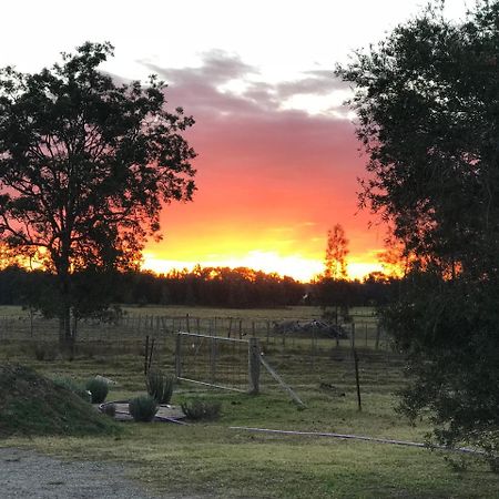 Lovedale Red Gum Cottage Εξωτερικό φωτογραφία