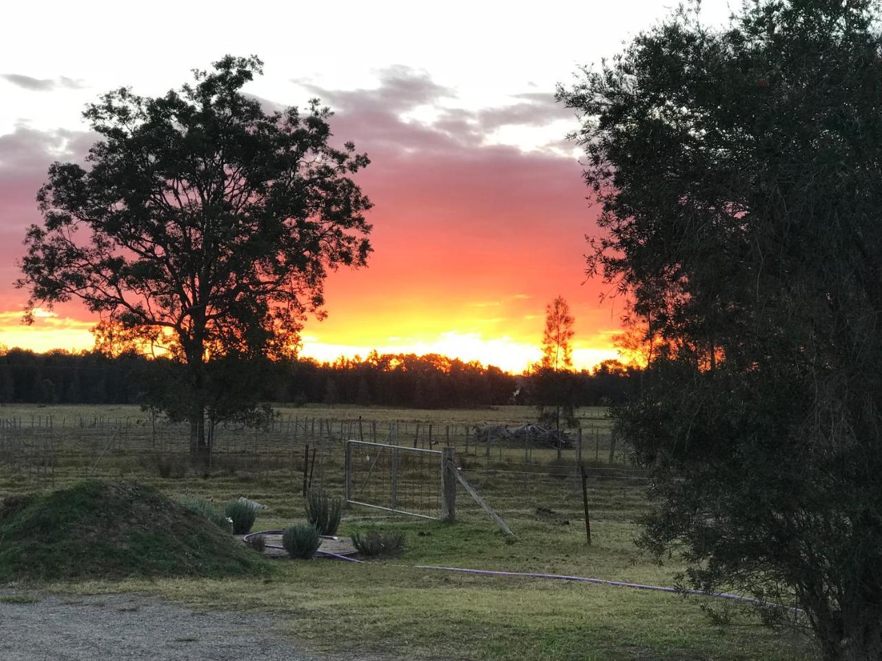 Lovedale Red Gum Cottage Εξωτερικό φωτογραφία