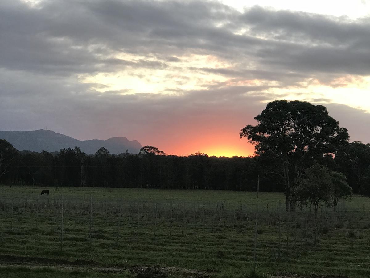 Lovedale Red Gum Cottage Εξωτερικό φωτογραφία